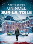 Achat DVD  Arctic Crimes : Un Noël Sur La Toile 
