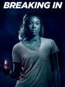 Achat DVD  Breaking In 