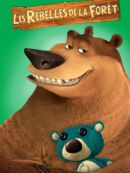 Achat DVD  Les Rebelles De La Forêt 