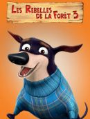 Achat DVD  Les Rebelles De La Foret 3 