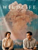 Achat DVD  Wildlife : Une Saison Ardente 