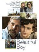 Achat DVD  My Beautiful Boy 