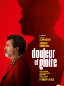 Achat DVD  Douleur Et Gloire 