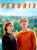 Télécharger Perdrix