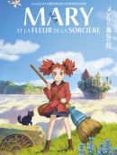 Achat DVD  Mary Et La Fleur De La Sorcière 