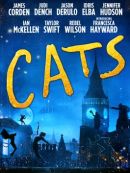 Achat DVD  Cats 