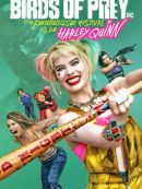 Télécharger Birds Of Prey (et La Fantabuleuse Histoire D'Harley Quinn)