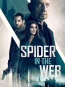 Achat DVD  Spider In The Web 