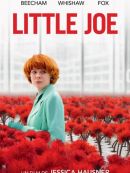 Achat DVD  Little Joe 
