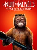 Achat DVD  La Nuit Au Musée : Le Secret Des Pharaons 