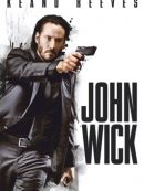 Achat DVD  John Wick 