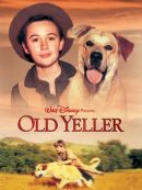 Achat DVD  Old Yeller 