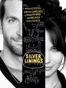 Achat DVD  Silver Linings Playbook 