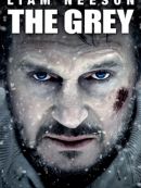 Télécharger The Grey