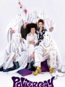 Achat DVD  Poltergay 