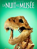 Achat DVD  La Nuit Au Musée 