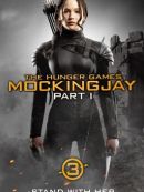 Achat DVD  The Hunger Games: Mockingjay - Part 1 