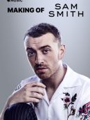Achat DVD  Making Of : Sam Smith – The Thrill Of It All 