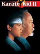Télécharger Karate Kid II