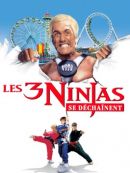 Achat DVD  Les 3 Ninjas Se Déchainent 