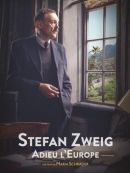 Achat DVD  Stefan Zweig : Adieu L'Europe 