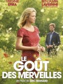 Achat DVD  Le Goût Des Merveilles 