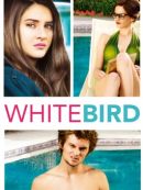 Achat DVD  White Bird 