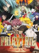 Achat DVD  Fairy Tail Le Film : La Prêtresse Du Phoenix (VOST) 