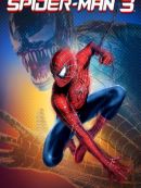 Achat DVD  Spider-Man 3 