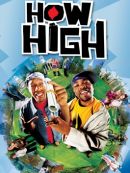 Achat DVD  Etudiants En Herbe! (How High) 