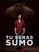 Achat DVD  Tu Seras Sumo (辛抱) 