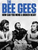 Achat DVD  The Bee Gees : How Can You Mend A Broken Heart 