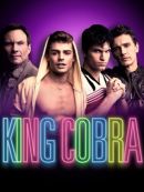Achat DVD  King Cobra 