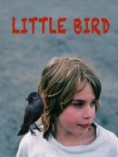 Achat DVD  Little Bird 