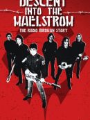 Achat DVD  Descent Into The Maelstrom - The Radio Birdman Story 