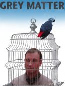 Achat DVD  Grey Matter 