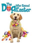 Achat DVD  Le Chien Qui Sauva Pâques 