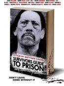 Achat DVD  Guide De Survie En Prison 