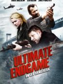 Achat DVD  Ultimate Endgame 