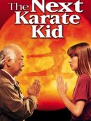 Achat DVD  The Next Karate Kid 