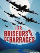 Achat DVD  Les Briseurs De Barrages 