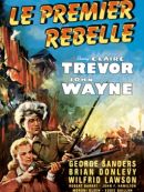 Achat DVD  Le Premier Rebelle (Allegheny Uprising) 