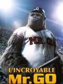 Achat DVD  L'incroyable Mr Go 