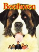 Achat DVD  Beethoven (1992) 