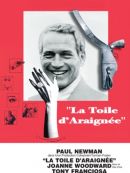 Achat DVD  La Toile D'araignée 