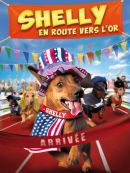 Achat DVD  Shelly En Route Vers L'or 