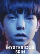 Achat DVD  Mysterious Skin 