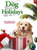 Achat DVD  Le Sauveur De Noël (The Dog Who Saved The Holidays) 