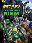 Achat DVD  Batman Vs. Teenage Mutant Ninja Turtles 