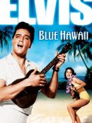 Achat DVD  Sous Le Ciel Bleu D'Hawaii 